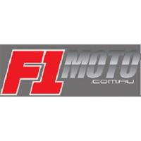 F1Moto image 1